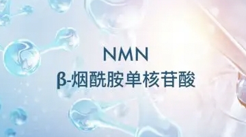 FDA出尔反尔！NMN的发展之路再次迎来了挑战